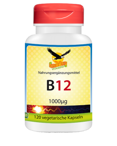 Vitamin B12 Methylcobalamin 120 Kapseln XQ