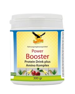 Amino Power Booster, 300g Protein Drink