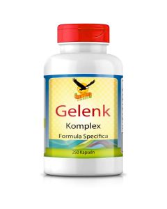 Gelenk Komplex mit MSM, Glucosamin, Chondroitin, Hylauronsäure , 250 Kapseln Get Up