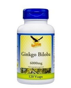 Ginkgo Biloba, 120 vegetarische Kapseln