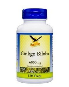Ginkgo Biloba, 120 vegetarische Kapseln