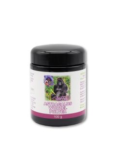 Astragalus Pulver Pur 100 g