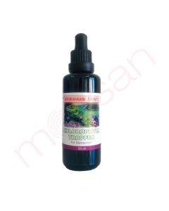 Chlorophyll Tropfen – 50 ml