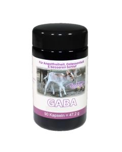 GABA Kapseln – 90 Kapseln