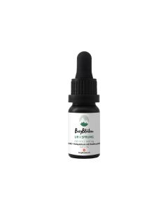 BergBlüten Ursprung 10% CBD Duftöl