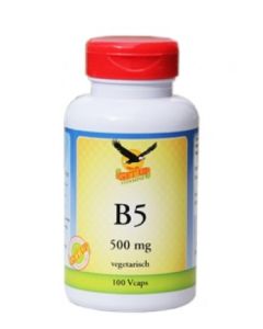 Vitamin B5 500mg, 100 Kaps (Pantothensäure)