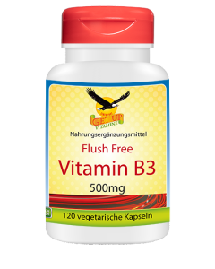 Vitamin B3 Niacinamid 500mg, 120 Kapseln Dose, ohne Flush-Rötung