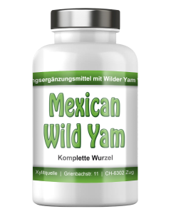 Mexican Wild Yam Kapseln, ganze Wurzel