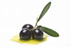 Bio-Olivenöl - nativ extra
