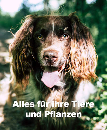 Alles für Ihre Tiere und Pflanzen kaufen